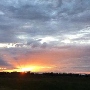 Meet your Posher, Dru